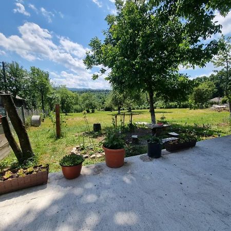 Casa Primitoare In Inima Naturii Si Padurii Rasca  Exterior foto