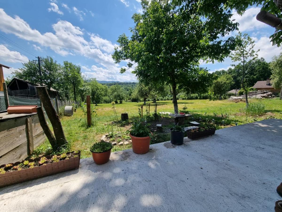 Casa Primitoare In Inima Naturii Si Padurii Rasca  Exterior foto